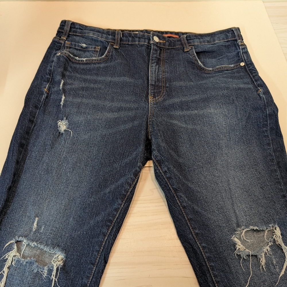 Pilcro brand Distressed Blue Jeans
